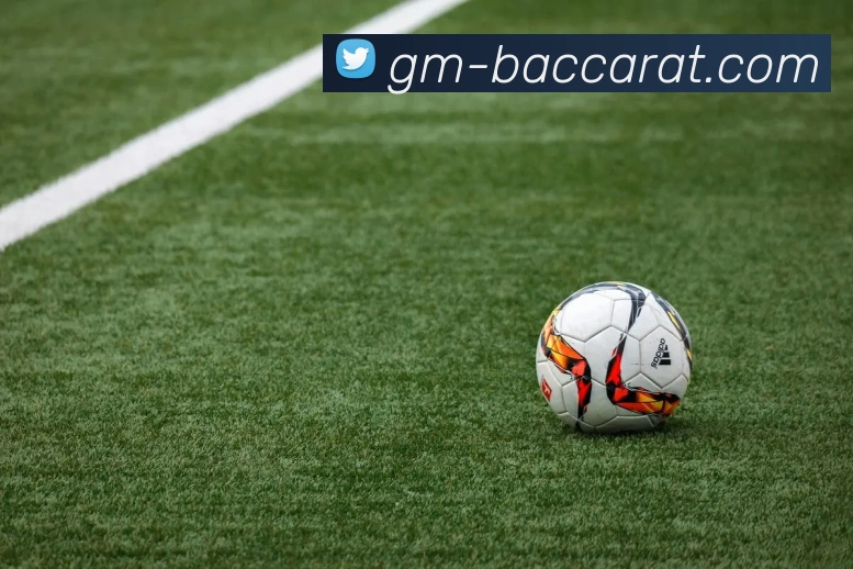 百家乐官网APP 封面图