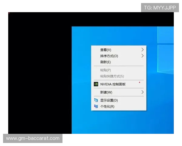 如何将5e粘贴视角成功应用到游戏中并优化体验